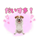 元気いっぱい♡ジャックのスタンプ（個別スタンプ：18）