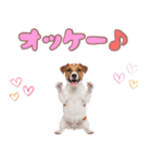 元気いっぱい♡ジャックのスタンプ（個別スタンプ：19）