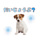 元気いっぱい♡ジャックのスタンプ（個別スタンプ：21）