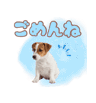 元気いっぱい♡ジャックのスタンプ（個別スタンプ：22）