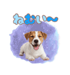 元気いっぱい♡ジャックのスタンプ（個別スタンプ：23）