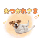 元気いっぱい♡ジャックのスタンプ（個別スタンプ：26）