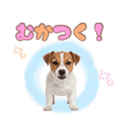 元気いっぱい♡ジャックのスタンプ（個別スタンプ：28）