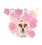 元気いっぱい♡ジャックのスタンプ（個別スタンプ：32）