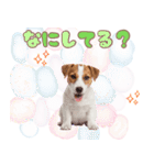 元気いっぱい♡ジャックのスタンプ（個別スタンプ：33）