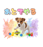 元気いっぱい♡ジャックのスタンプ（個別スタンプ：34）