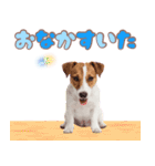 元気いっぱい♡ジャックのスタンプ（個別スタンプ：35）