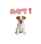 元気いっぱい♡ジャックのスタンプ（個別スタンプ：40）