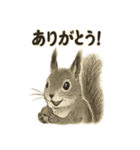 墨絵リスのほっこりスタンプ（個別スタンプ：1）