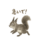 墨絵リスのほっこりスタンプ（個別スタンプ：3）