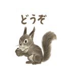 墨絵リスのほっこりスタンプ（個別スタンプ：10）