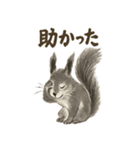 墨絵リスのほっこりスタンプ（個別スタンプ：11）