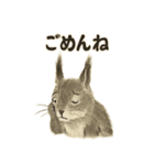 墨絵リスのほっこりスタンプ（個別スタンプ：12）
