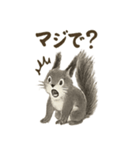 墨絵リスのほっこりスタンプ（個別スタンプ：14）