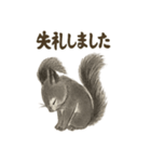 墨絵リスのほっこりスタンプ（個別スタンプ：15）
