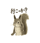 墨絵リスのほっこりスタンプ（個別スタンプ：22）