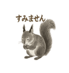 墨絵リスのほっこりスタンプ（個別スタンプ：31）