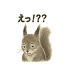 墨絵リスのほっこりスタンプ（個別スタンプ：34）