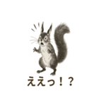 墨絵リスのほっこりスタンプ（個別スタンプ：35）