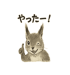 墨絵リスのほっこりスタンプ（個別スタンプ：37）
