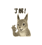 墨絵リスのほっこりスタンプ（個別スタンプ：38）