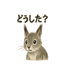 墨絵リスのほっこりスタンプ（個別スタンプ：39）