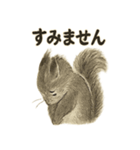 墨絵リスのほっこりスタンプ（個別スタンプ：40）