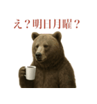 サラリーマン熊の毎日（個別スタンプ：1）