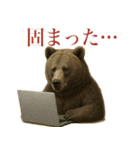 サラリーマン熊の毎日（個別スタンプ：3）