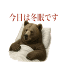 サラリーマン熊の毎日（個別スタンプ：4）