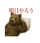 サラリーマン熊の毎日（個別スタンプ：6）