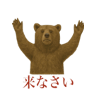 サラリーマン熊の毎日（個別スタンプ：20）