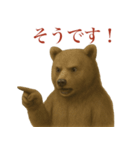 サラリーマン熊の毎日（個別スタンプ：34）