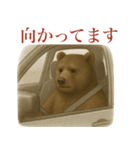 サラリーマン熊の毎日（個別スタンプ：40）