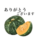 【敬語】 国産かぼちゃ（個別スタンプ：4）