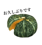 【敬語】 国産かぼちゃ（個別スタンプ：12）