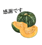 【敬語】 国産かぼちゃ（個別スタンプ：15）