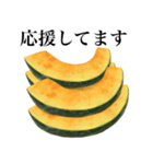 【敬語】 国産かぼちゃ（個別スタンプ：19）