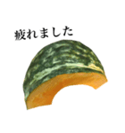 【敬語】 国産かぼちゃ（個別スタンプ：20）