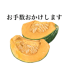 【敬語】 国産かぼちゃ（個別スタンプ：23）