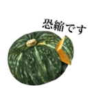 【敬語】 国産かぼちゃ（個別スタンプ：24）