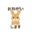 水彩画風♪ほんわか♡うさぎ♡敬語♡挨拶（個別スタンプ：13）