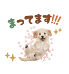 いつでも使える♡マルプーのスタンプ（個別スタンプ：24）