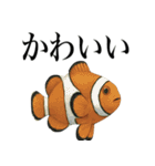 海の生物の日常言葉（個別スタンプ：1）