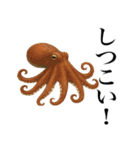 海の生物の日常言葉（個別スタンプ：5）