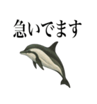 海の生物の日常言葉（個別スタンプ：9）