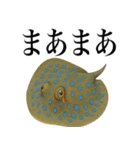海の生物の日常言葉（個別スタンプ：10）