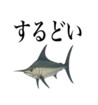 海の生物の日常言葉（個別スタンプ：12）