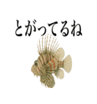 海の生物の日常言葉（個別スタンプ：22）
