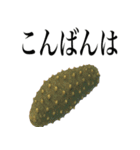 海の生物の日常言葉（個別スタンプ：23）